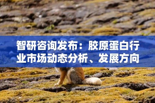 智研咨询发布：胶原蛋白行业市场动态分析、发展方向及投资前景分析报告