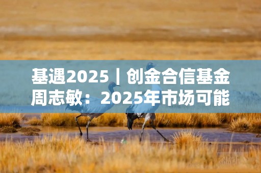 基遇2025｜创金合信基金周志敏：2025年市场可能更全面更热闹，半导体依然值得重视