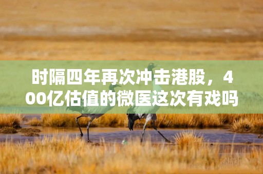 时隔四年再次冲击港股，400亿估值的微医这次有戏吗？
