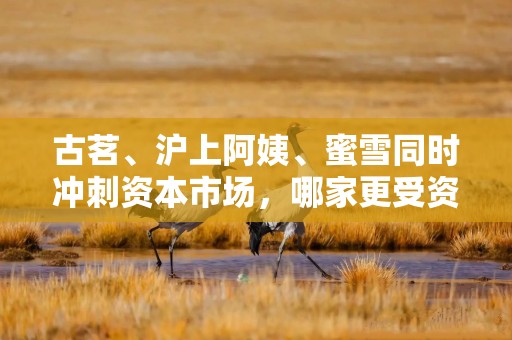古茗、沪上阿姨、蜜雪同时冲刺资本市场，哪家更受资本青睐