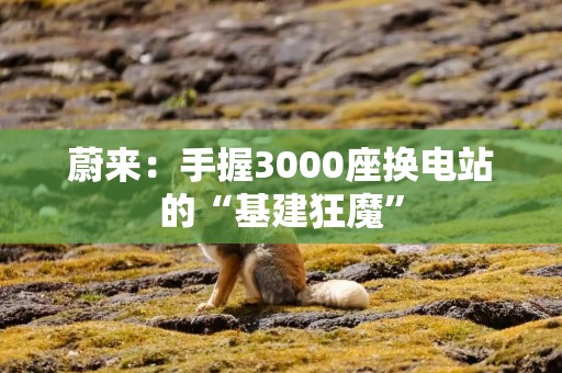 蔚来：手握3000座换电站的“基建狂魔”