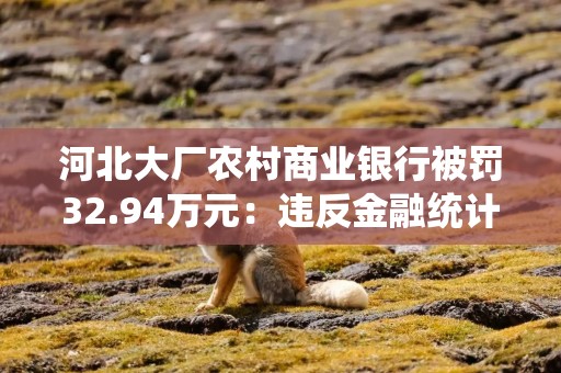 河北大厂农村商业银行被罚32.94万元：违反金融统计、金融科技、货币金银、反洗钱管理规定