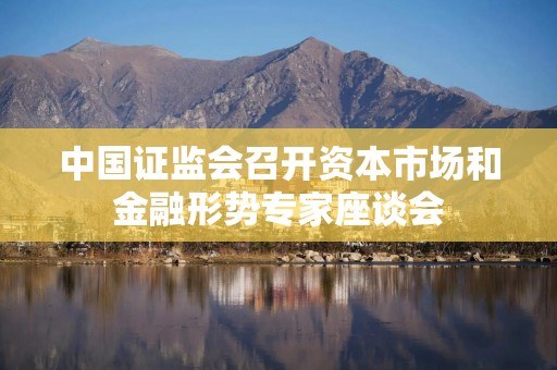 中国证监会召开资本市场和金融形势专家座谈会