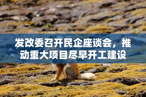发改委召开民企座谈会，推动重大项目尽早开工建设