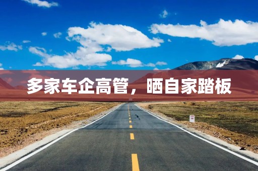 多家车企高管，晒自家踏板