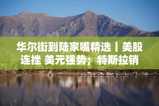 华尔街到陆家嘴精选丨美股连挫 美元强势；特斯拉销量下降 股价大跌6%；CES渐近 AI眼镜大战一触即发