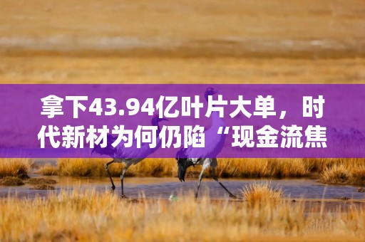 拿下43.94亿叶片大单，时代新材为何仍陷“现金流焦虑”？