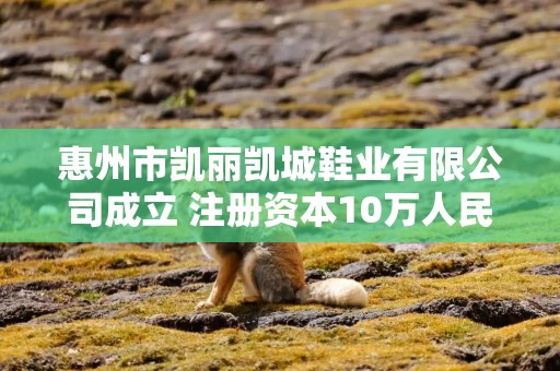 惠州市凯丽凯城鞋业有限公司成立 注册资本10万人民币