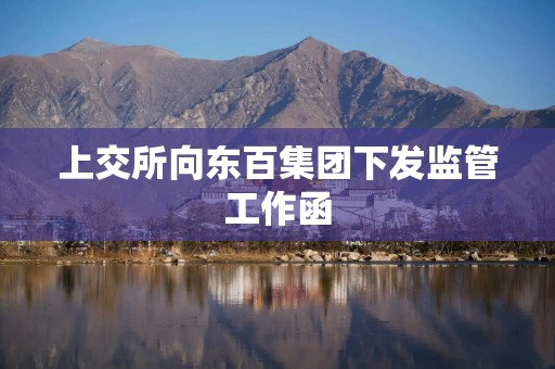 上交所向东百集团下发监管工作函
