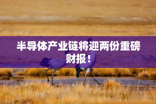半导体产业链将迎两份重磅财报！