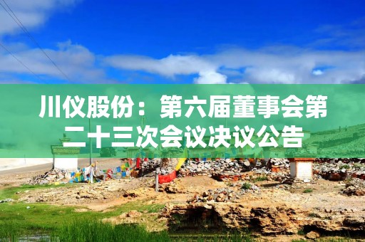 川仪股份：第六届董事会第二十三次会议决议公告