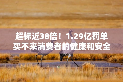 超标近38倍！1.29亿罚单买不来消费者的健康和安全感