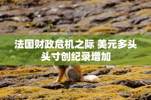 法国财政危机之际 美元多头头寸创纪录增加