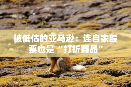 被低估的亚马逊：连自家股票也是“打折商品”