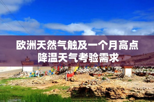 欧洲天然气触及一个月高点 降温天气考验需求