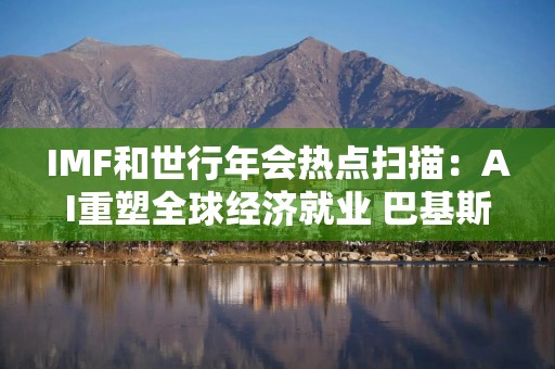 IMF和世行年会热点扫描：AI重塑全球经济就业 巴基斯坦力争评级上调