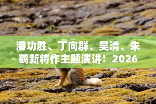 潘功胜、丁向群、吴清、朱鹤新将作主题演讲！2026金融街论坛年会亮点抢先看