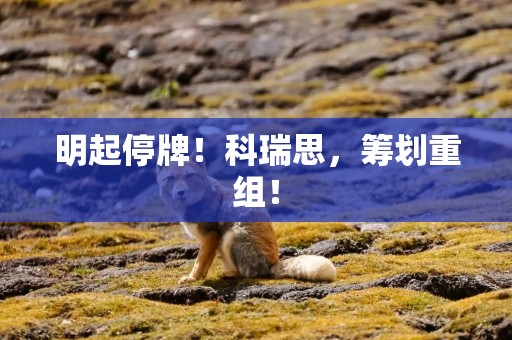 明起停牌！科瑞思，筹划重组！