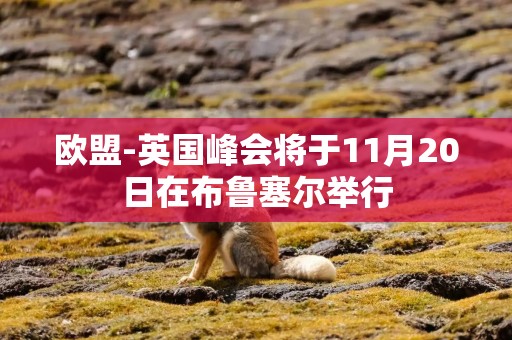 欧盟-英国峰会将于11月20日在布鲁塞尔举行