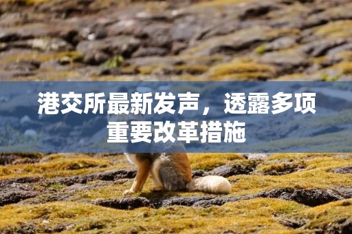 港交所最新发声，透露多项重要改革措施