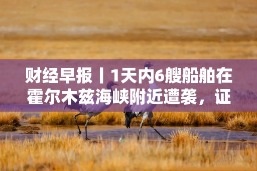 财经早报丨1天内6艘船舶在霍尔木兹海峡附近遭袭，证监会主席吴清将出席重磅会议并作演讲丨2026年10月13日
