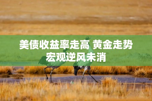美债收益率走高 黄金走势宏观逆风未消
