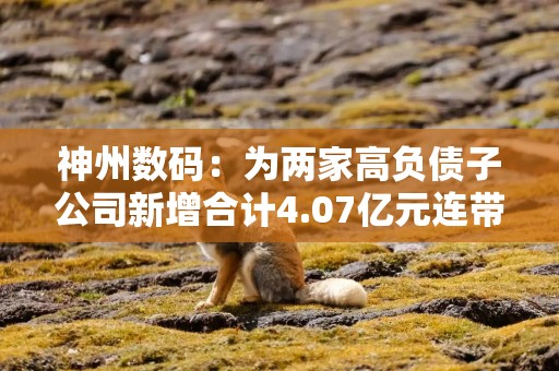 神州数码：为两家高负债子公司新增合计4.07亿元连带责任担保