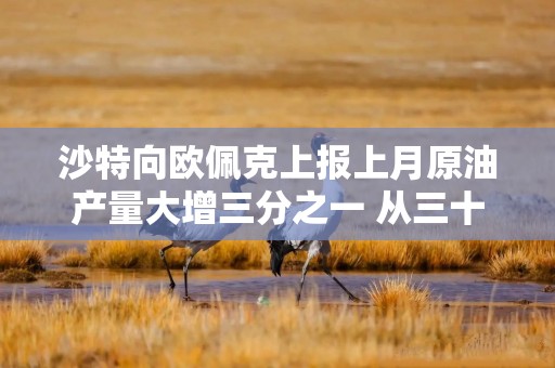 沙特向欧佩克上报上月原油产量大增三分之一 从三十余年低点回升