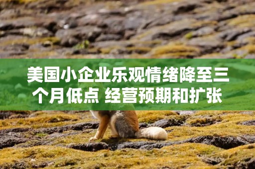 美国小企业乐观情绪降至三个月低点 经营预期和扩张意愿走弱