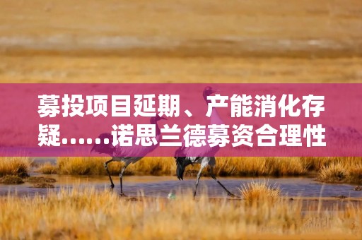 募投项目延期、产能消化存疑……诺思兰德募资合理性待解