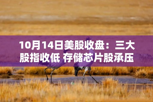 10月14日美股收盘：三大股指收低 存储芯片股承压