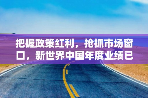 把握政策红利，抢抓市场窗口，新世界中国年度业绩已完成超七成
