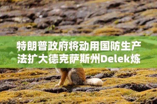 特朗普政府将动用国防生产法扩大德克萨斯州Delek炼油厂产能