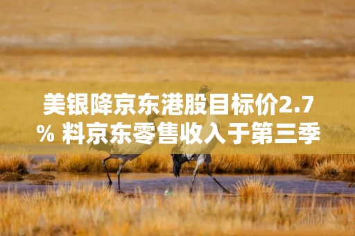 美银降京东港股目标价2.7% 料京东零售收入于第三季转正 重申买入评级