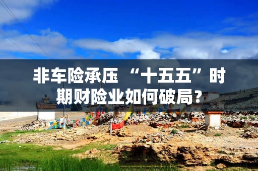 非车险承压 “十五五”时期财险业如何破局？