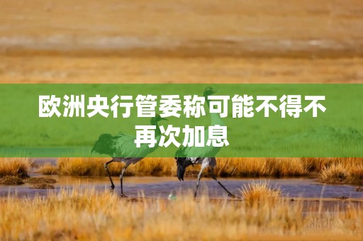 欧洲央行管委称可能不得不再次加息