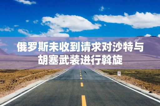 俄罗斯未收到请求对沙特与胡塞武装进行斡旋