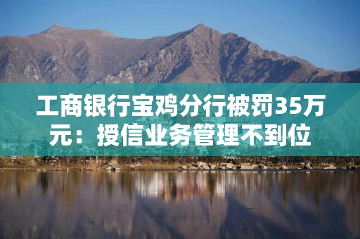 工商银行宝鸡分行被罚35万元：授信业务管理不到位