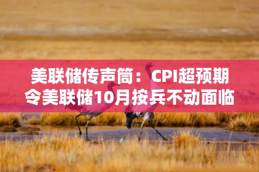 美联储传声筒：CPI超预期令美联储10月按兵不动面临更大压力，但尚无迹象表明官员将改变利率决策计划