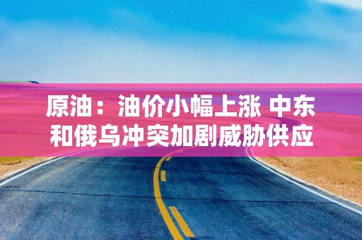 原油：油价小幅上涨 中东和俄乌冲突加剧威胁供应