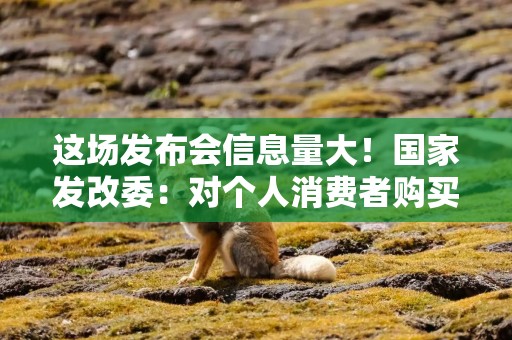 这场发布会信息量大！国家发改委：对个人消费者购买手机、平板等给予补贴