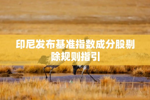 印尼发布基准指数成分股剔除规则指引