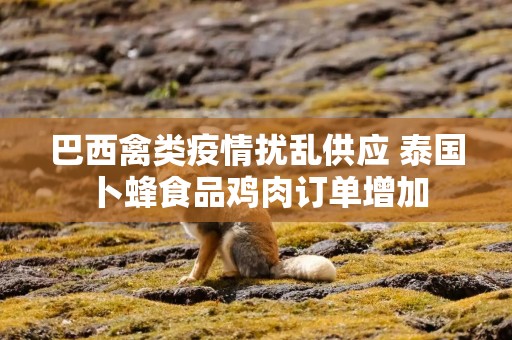 巴西禽类疫情扰乱供应 泰国卜蜂食品鸡肉订单增加