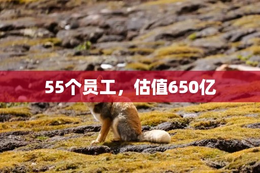 55个员工，估值650亿