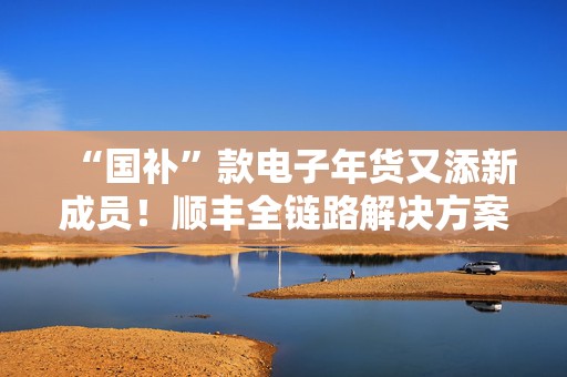 “国补”款电子年货又添新成员！顺丰全链路解决方案助力“国补”以旧换新