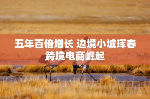 五年百倍增长 边境小城珲春跨境电商崛起