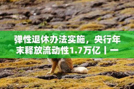 弹性退休办法实施，央行年末释放流动性1.7万亿丨一周热点回顾