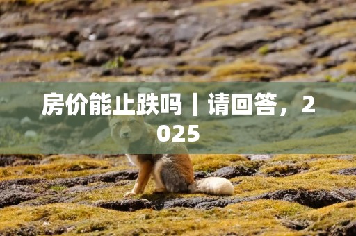 房价能止跌吗｜请回答，2025