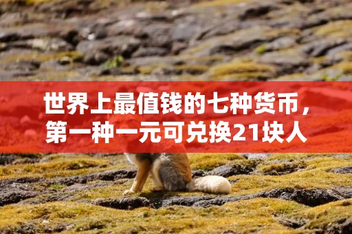 世界上最值钱的七种货币，第一种一元可兑换21块人民币