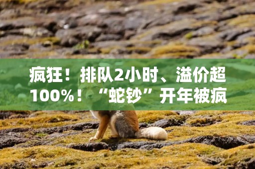 疯狂！排队2小时、溢价超100%！“蛇钞”开年被疯炒，带火期货行情……专家提示风险